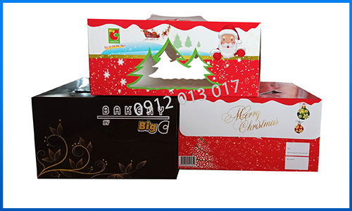 BAO BÌ GIẤY, BAO BÌ CARTON